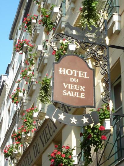 Hotel Du Vieux Saule - image 1