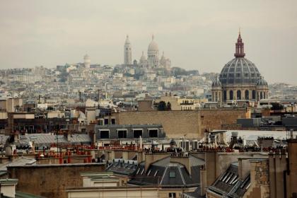 Paris Marriott Champs Elysees Hotel - image 19