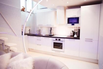 Stylishluxury duplex Paris city center - image 13