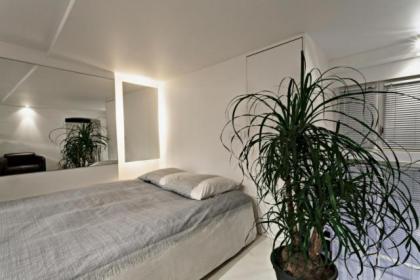 Stylishluxury duplex Paris city center - image 3