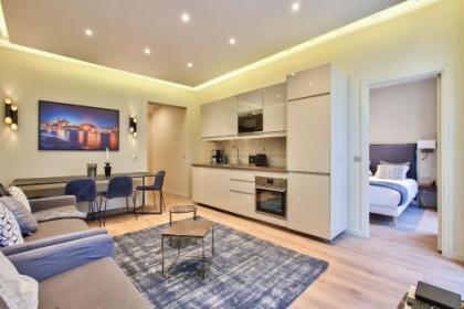 61- Big Luxury Parisian Flat 2DD - image 1