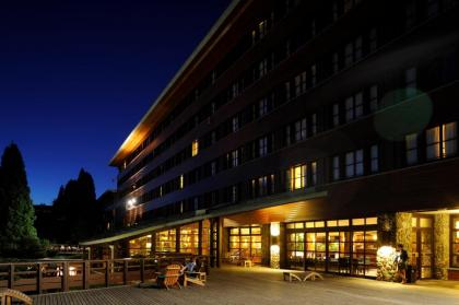 Disney's Sequoia Lodge® - image 11