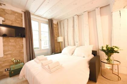 Cosy flat - Saint germain - image 5