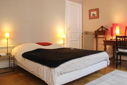 Spacious apartment - near Trocadero - image 10